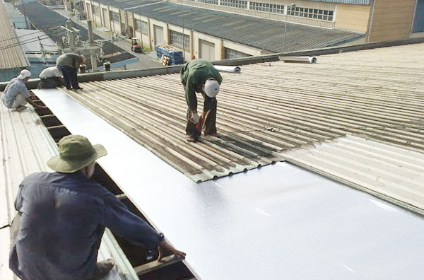 Quy trình sửa chữa mái tôn nhà xưởng tại KCN Ledana